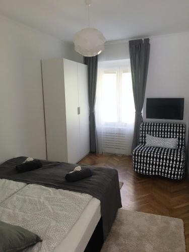Apartmani Sb 42