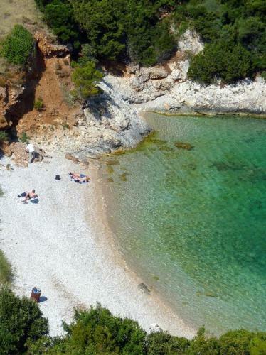 Apartment Pavija Luka 12758a