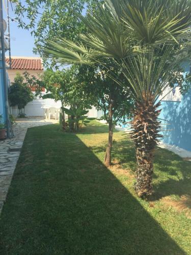 Villa Alan (beach)