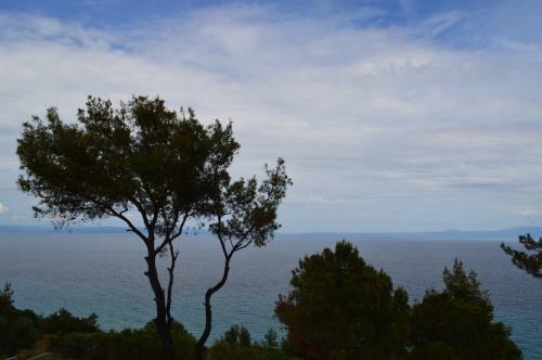 Apartamento Aelia Sea View Studios
