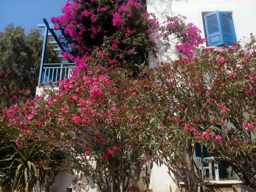 Apartamento Villa Anastazia I