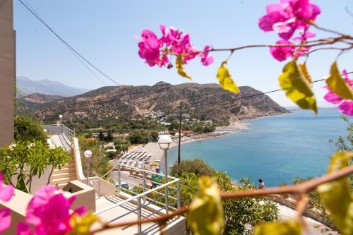 Sea View Apartments