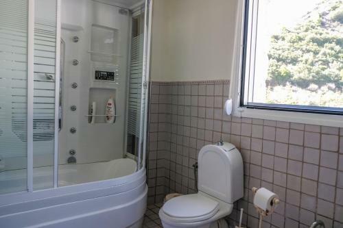 Luxurious Villa In Agia Paraskevi Chalkidiki