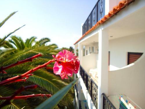 Hotel Ionian Suites By Bruskos