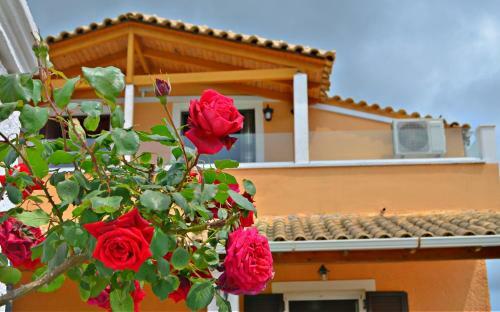Apartamento Paradises's Nest