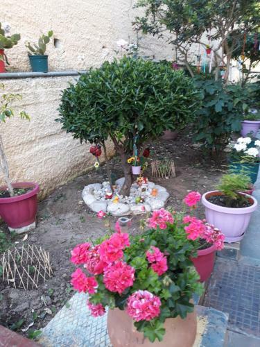 Apartamento Margaritas' Rooms