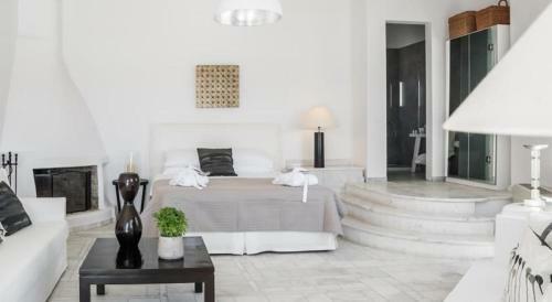 Hotel Capo Di Mykonos Resort
