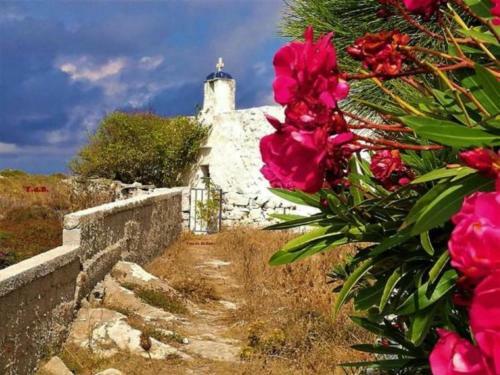 Bed & Breakfast Tinos Suites & Apartments