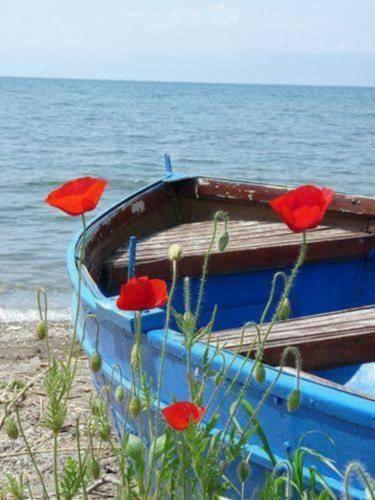 Bed & Breakfast Tinos Suites & Apartments