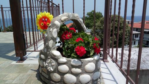 Germani's House