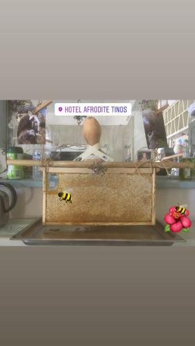 Afrodite Hotel
