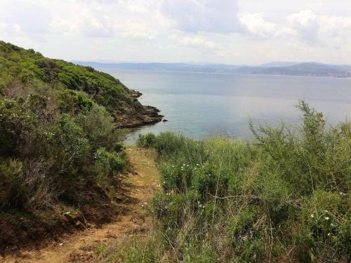 Marvelous Sea View Eco Studio