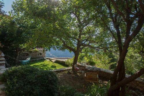 Apartamento Milia Room