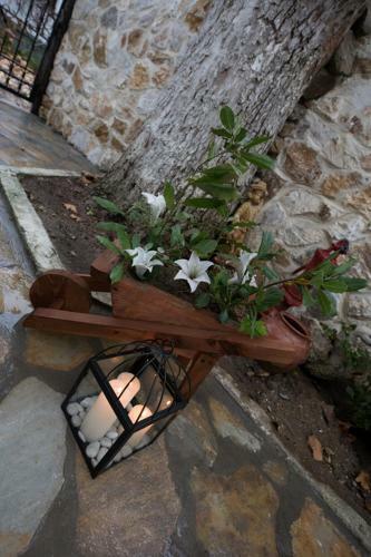 Luxury House Papadimitriou