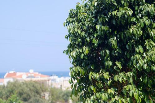 Chill And Relax In A Home With Pool Near The Beach