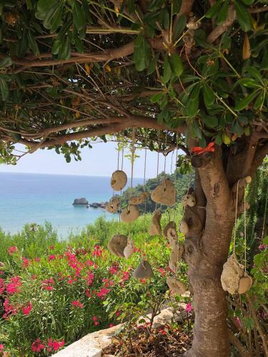 Apartamento Best Sea View In Glyfada Corfu