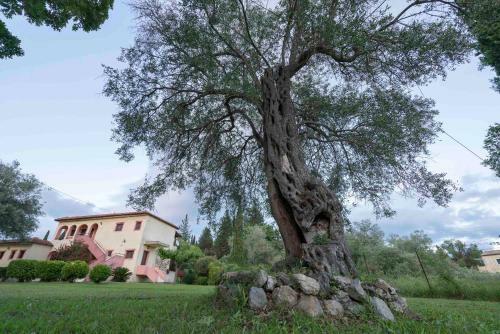 Apartamento Green Corner Villas