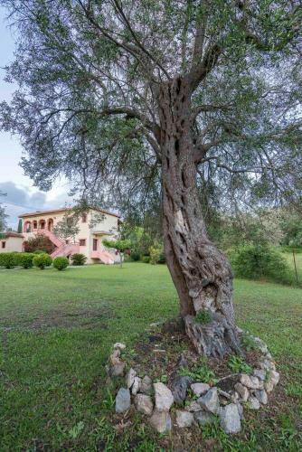 Apartamento Green Corner Villas