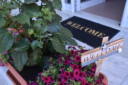 Apartamento Irini Appartments