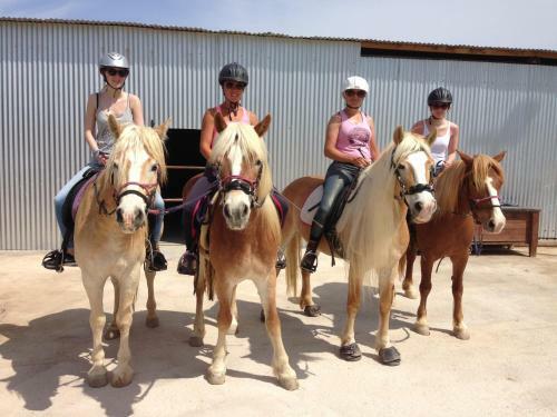 Arion Stables & Apartments