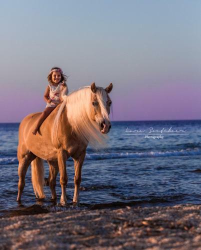 Arion Stables & Apartments
