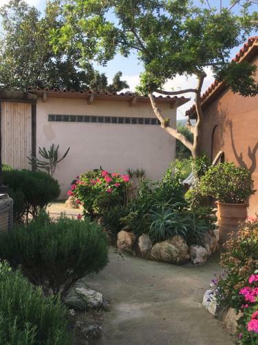 Arion Stables & Apartments