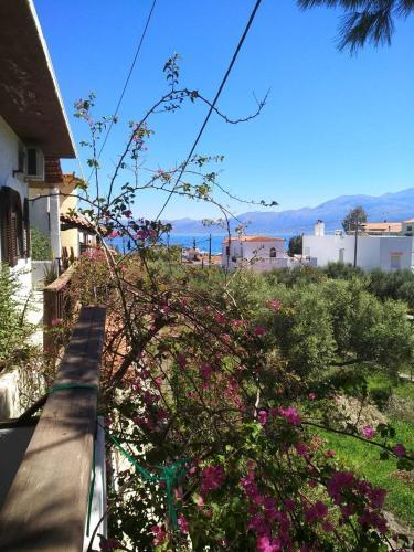 Agroturismo Family Apartment