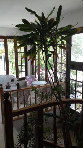 Aparthotel Villa Nena