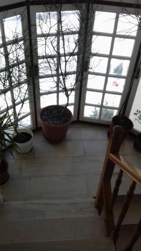Aparthotel Villa Nena
