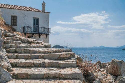 Lotus Sweet Home Hydra