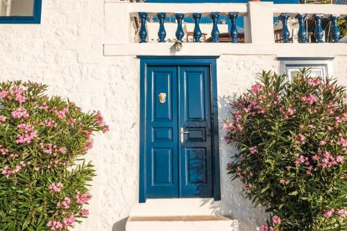 Lotus Sweet Home Hydra