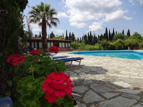 Apartamento Apollo Studios