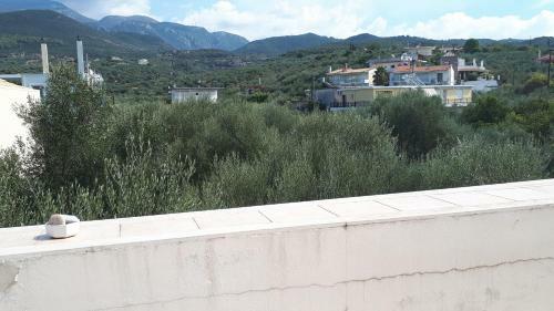 Avia Beachfront Villa