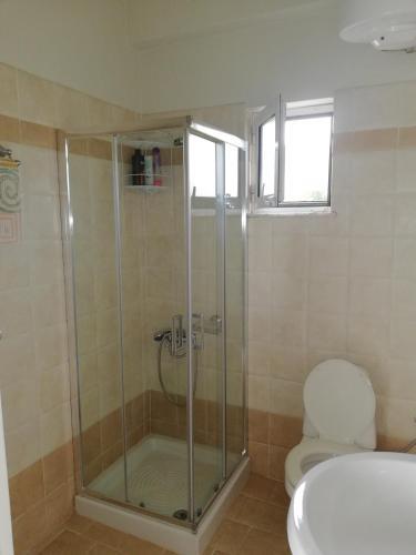 Apartamento Studio Theodore