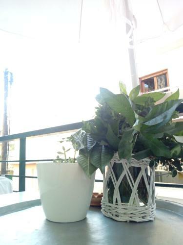 Apartamento Amphora- Luxury Suite