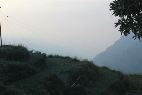 Hostal The Dhanolti Groove Garden