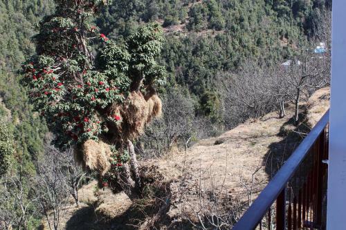 Hostal The Dhanolti Groove Garden