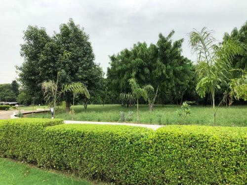 Agroturismo Evergreen Woods
