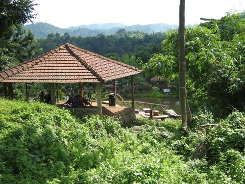 Hotel Brahmaputra Jungle Resort