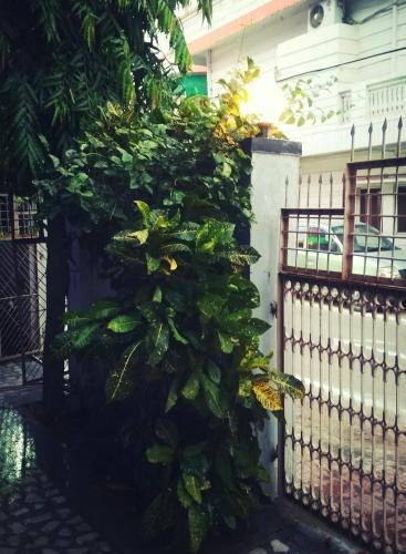 Hostal Virat Guest House