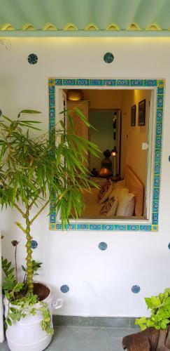 Hostal Summer Garden
