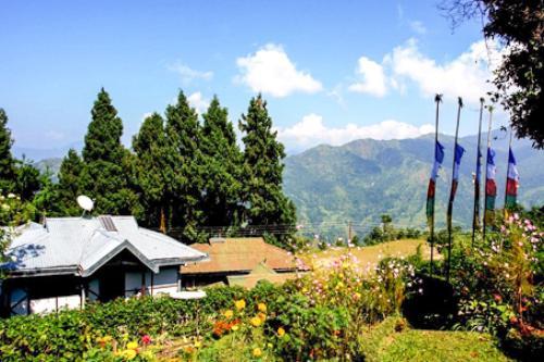 Cottage Room In Darjeeling, By Guesthouser 22734