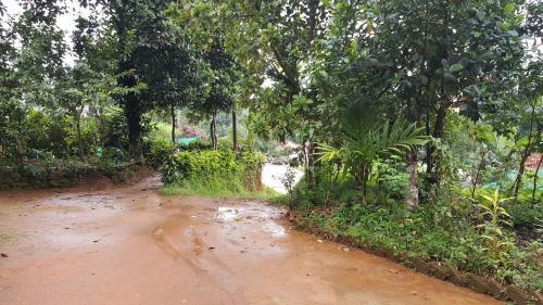 Wayanad Homestay