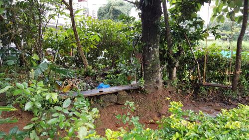 Wayanad Homestay