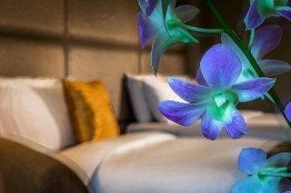 Hotel Orchid Country Club