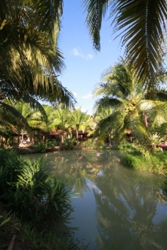 Hotel Green View Village Resort