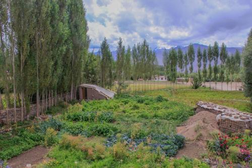 Hostal Tsetan Guest House