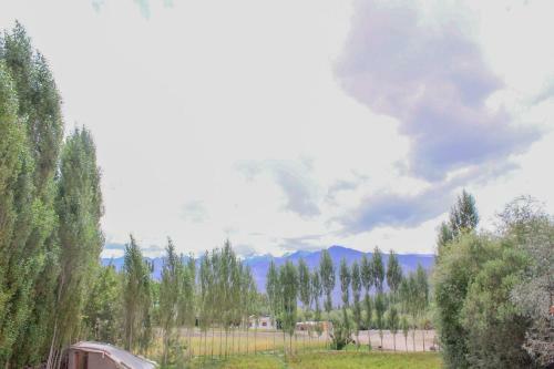 Hostal Tsetan Guest House