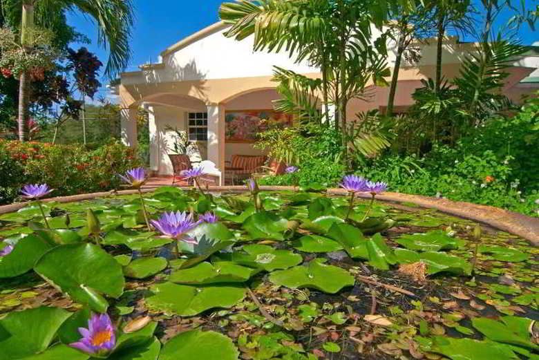 Hotel Blue Horizons Garden Resort