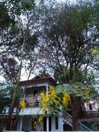 Marari Mourin Homestay